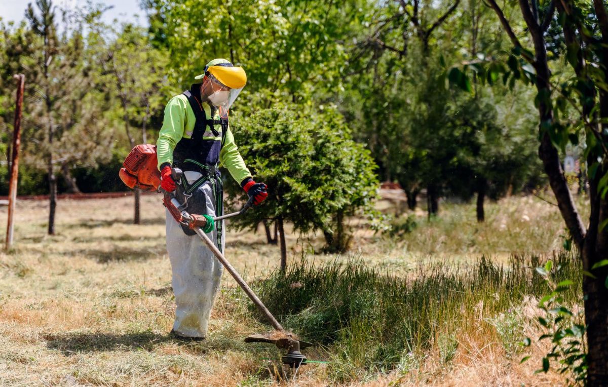 Feux de forêt dans la Drôme : afin de prévenir les incendies, vous allez devoir débroussailler votre terrain