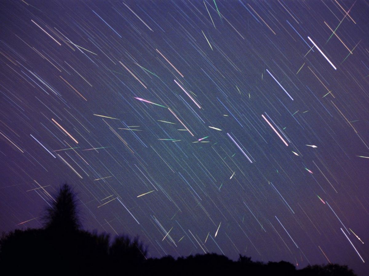 Le 15 août, levez les yeux le ciel offrira un spectacle d’étoiles filantes