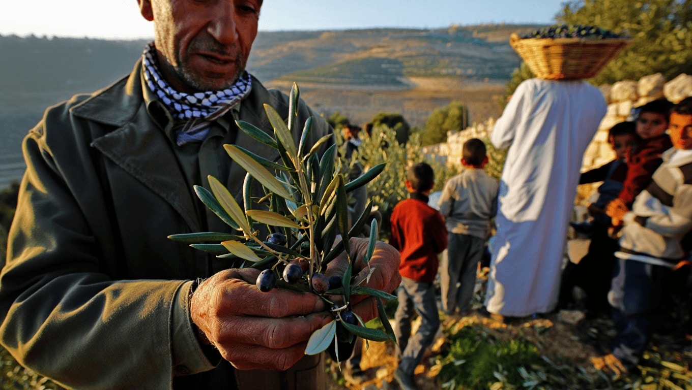 Récit d’un voyage en Palestine : agroécologie, colonisation et résistance