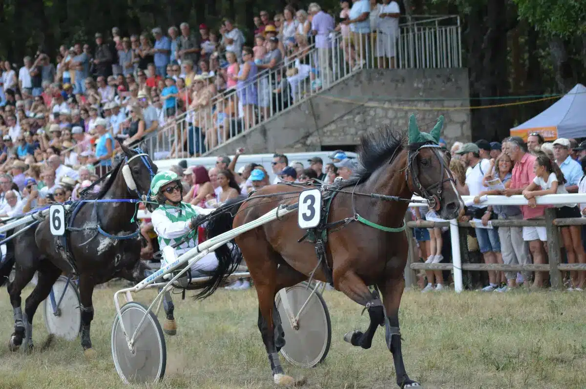 Spectateurs et familles profitant des animations et des courses à l'hippodrome