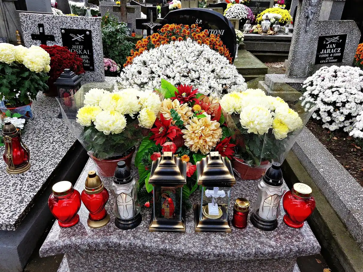 Mains anonymes disposant des pots de chrysanthèmes sur un rebord de cimetière en automne